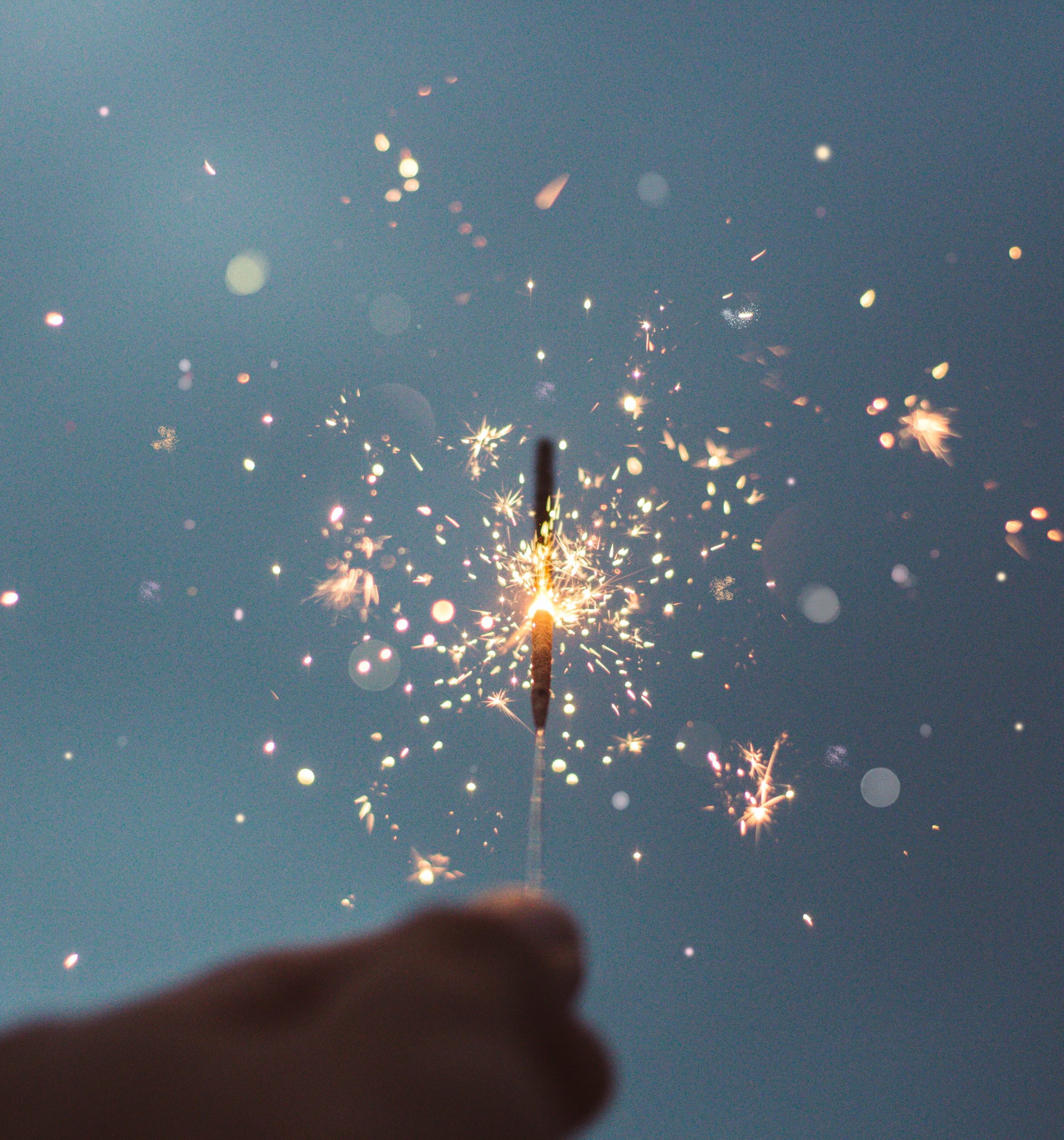 cristian-escobar-abkEAOjnY0s-unsplash copie