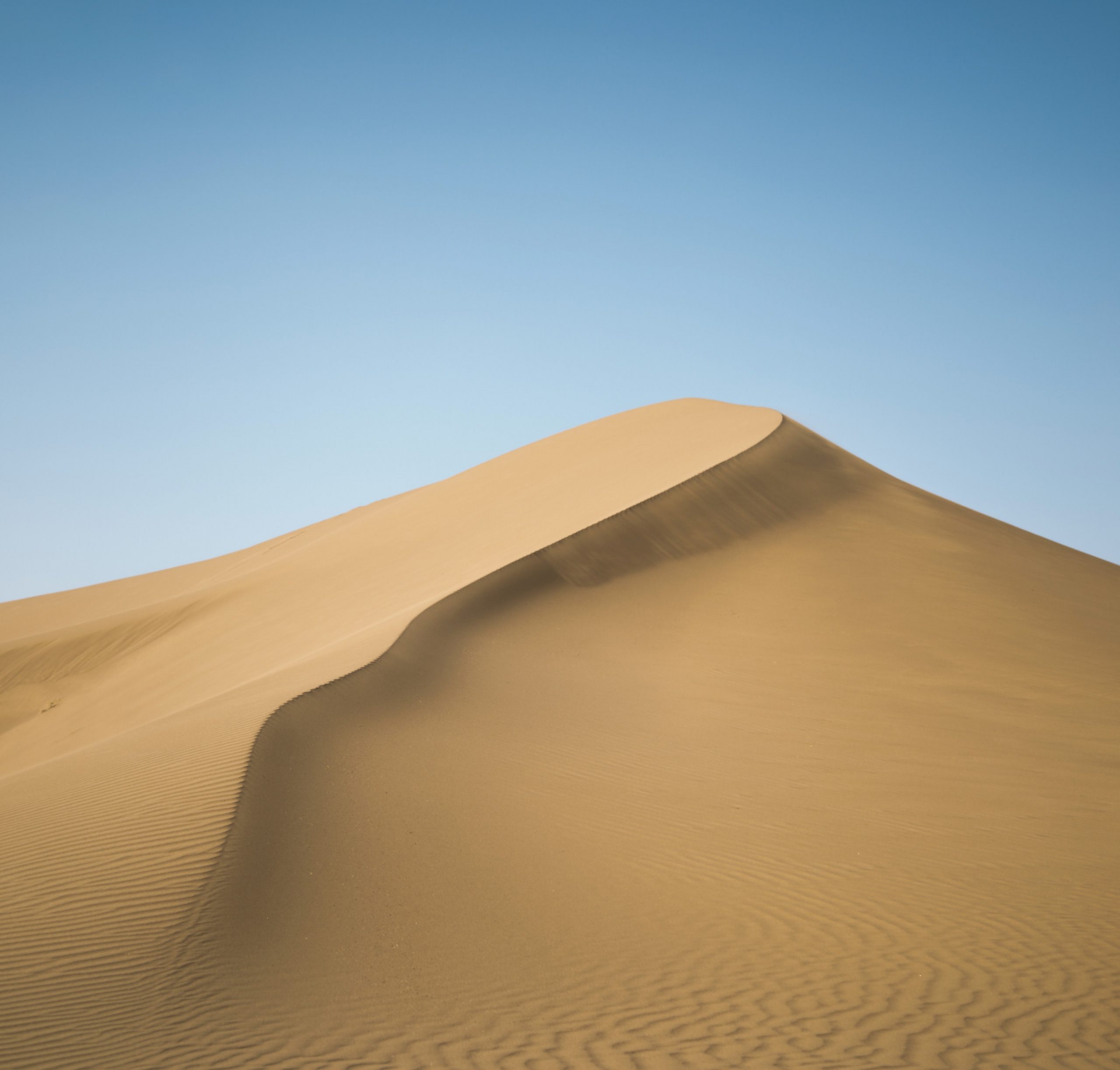 pourya-sharifi-gnmEoM7W9hY-unsplash